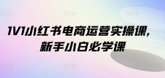 1V1小红书电商运营实操课,新手小白必学课
