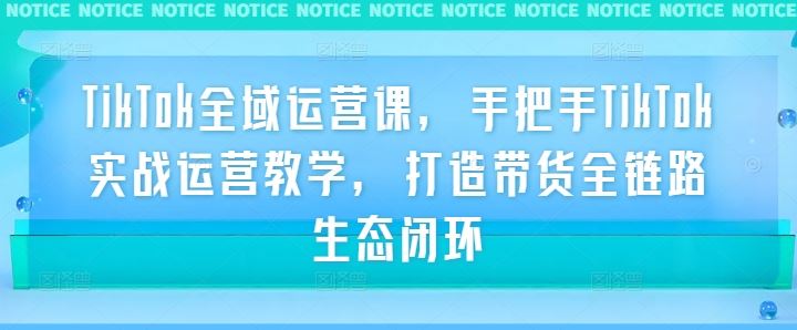 TikTok全域运营课,手把手TikTok实战运营教学,打造带货全链路*闭环