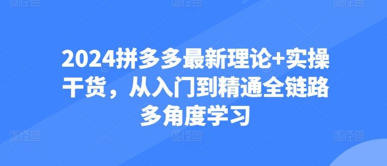 2024拼多多*理论+实操干货,从入门到精通全链路多角度学习