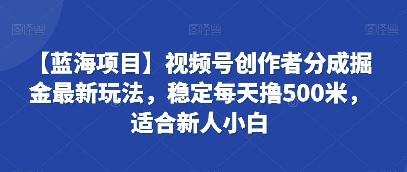 【蓝海项目】视频号创作者分成掘金*玩法,稳定每天撸500米,适合新人小白【揭秘】