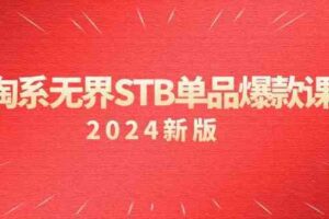 淘系无界STB单品爆款课(2024)付费带动免费的核心逻辑,关键词推广/精准人群的核心