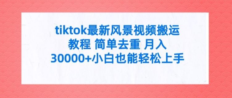 tiktok*风景视频搬运教程 简单去重 月入3W+小白也能轻松上手【揭秘】