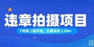 (11698期)随手拍也能赚钱?对的日入300+