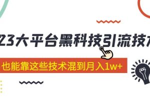 (5138期)价值4899的2023大平台黑科技引流技术 小白也能靠这些技术混到月入1w+29节课