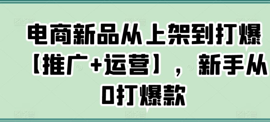 电商新品从上架到打爆【推广+运营】,新手从0打*