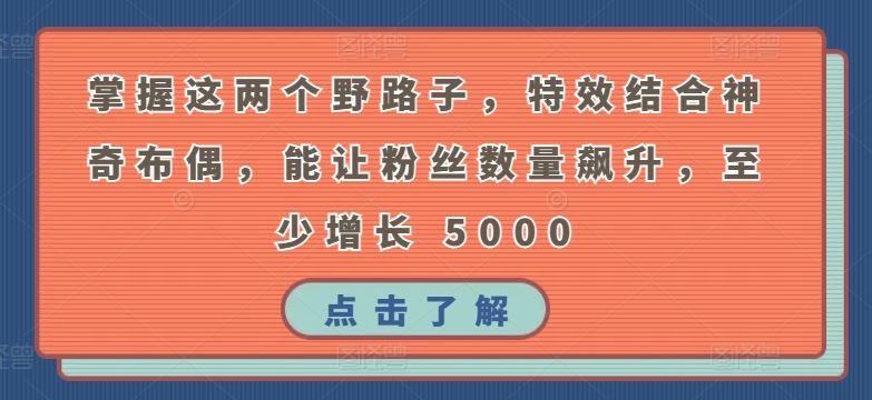 掌握这两个野路子,*结合神奇布偶,能让粉丝数量飙升,至少增长 5000【揭秘】