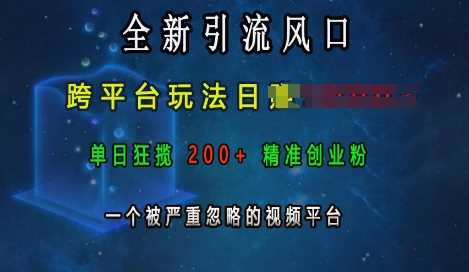 全新引流风口,跨平台玩法日入上k,单日狂揽200+*创业粉,一个被严重忽略的视频平台