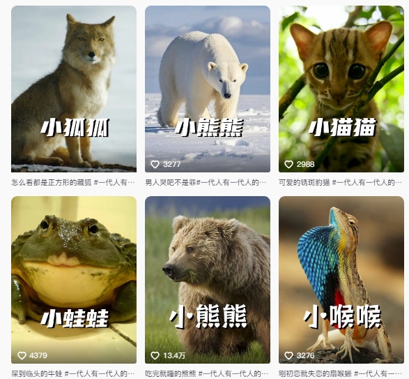 *搞笑动物百科详细解说课程,蓝海赛道,流量非常大,轻松签*进精选