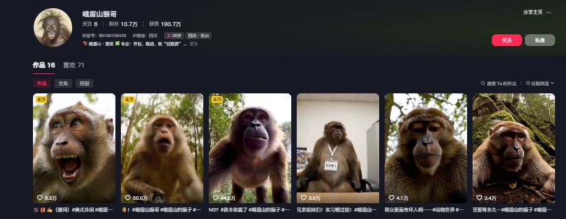 *爆火的峨眉山猴子短视频制作教程,条条点赞10w+,谁做谁火【教程+提示词】