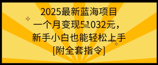 2025*蓝海项目一个月变现1w+新手小白也能轻松上手【附全套指令】