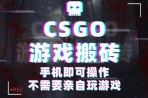 (16090期)CSGO游戏挂机捡漏,单日扫货500+,年底小高峰上车可吃肉,手机即可操作…