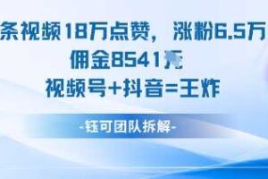 一条视频18W点赞,涨粉6.5W粉佣金8541米,视频号+抖音=王炸
