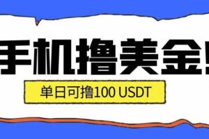 (16886期)最新手机撸美金项目,单日产值·100U+,将会是2026年最新的风口项目 目前在搞的人比较少