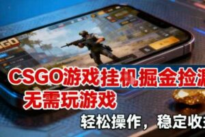 CSGO游戏挂G掘金捡漏，不需要玩游戏，操作简单，收益稳定【揭秘】