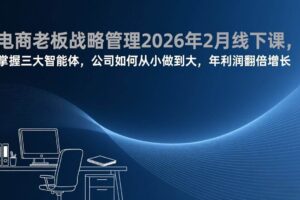 (17417期)电商老板战略管理2026年2月线下课,掌握三大智能体,公司如何从小做到大,年利润翻倍增长