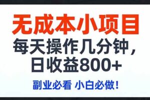 (17447期)无成本小项目,每天操作几分钟,日收益800+ 副业必看 小白必做!