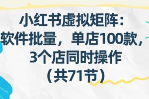 小红书虚拟矩阵:软件批量发笔记,单店100款,3个店同时操作(共71节)