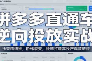 拼多多直通车逆向投放实战:托管精细推,阶梯裂变,快速打造高投产爆款链接