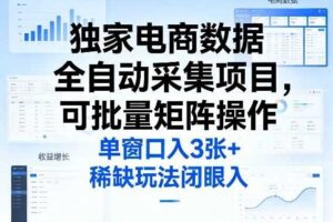 独家电商数据全自动采集项目，可批量矩阵操作，单窗口日入3张+，稀缺玩法闭眼入【揭秘】