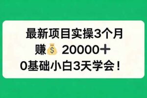 (17856期)最新项目实操3个月,赚钱20000+,0基础小白3天学会!