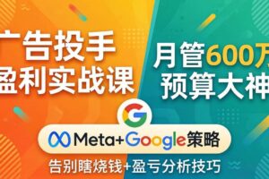 (17925期)广告投手盈利实战课:月管600万预算大神,带你告别瞎烧钱,Meta+Google策略+盈亏分析