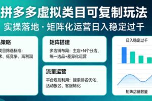拼多多虚拟类目可复制玩法,实操落地,矩阵化日入稳定过千【揭秘】