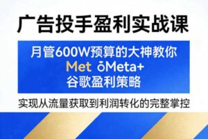 广告投手盈利实战课,月管600W预算的大神教你Meta+谷歌盈利策略,实现从流量获取到利润转化的完整掌控