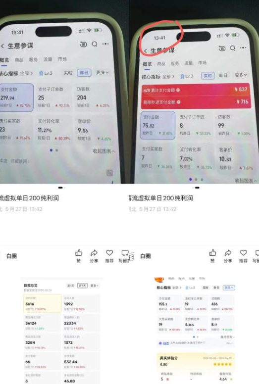 薅流虚拟2.0陪跑课,*AI流程化操作,淘宝+闲鱼同步玩法,上一次货两个平台有收益,单店每天200纯利润