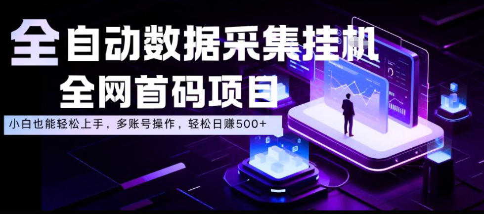 全自动数据采集挂G,*首码项目,简单易操作,小白也能轻松上手,多账号操作,轻松日入500+【揭秘】