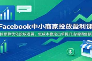 Facebook中小商家投放盈利课:低预算优化投放逻辑,低成本稳定出单提升店铺销售额