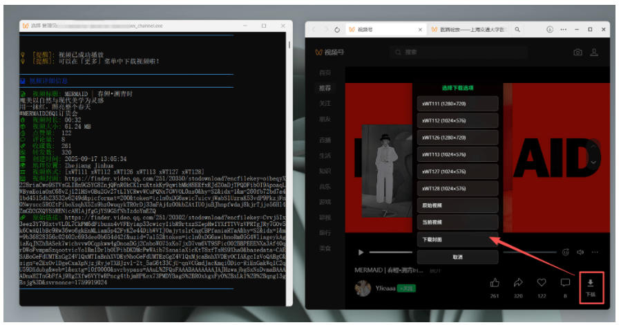 Github热门工具,视频号下载*又来了!一键注入下载按钮,轻松下载,使用便捷wx_channel