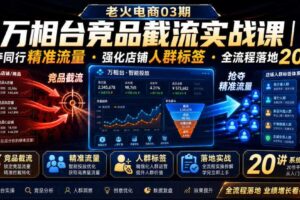 老火电商03期・万相台竞品截流实战课|抢夺同行精准流量・强化店铺人群标签・全流程落地20讲