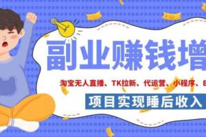 2026年多个真实落地副业项目,手把手带你搭建被动收入管道(淘宝无人直播、海外TK拉新、CSGO饰品交易、去水印小程序等)【揭秘】