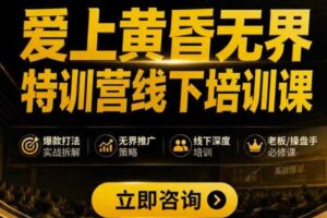 爱上黄昏无界特训营AI推广实战7月27-30杭州线下课,AI落地淘宝最完整的课程,学天猫淘宝的老板必看