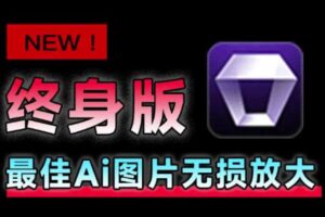 Win/Mac双端支持!最新永久终身版,支持老照片修复,图片变清晰无损放大工具,Aiarty Image Enhancer