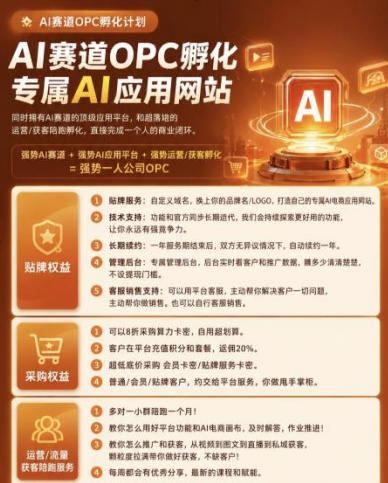 【*】OPC一人公司项目,单日500+,手机电脑不限制,打造属于自己的品牌画布AI产品,收费陪跑【揭秘】