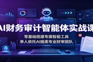 AI财务审计智能体实战课:零基础搭建专属智能工具,单人依托AI媲美专业财审团队