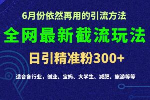 2024全网最新截留玩法，每日引流突破300+-麦资源网