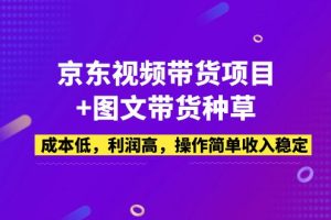 （5035期）京东视频带货项目+图文带货种草，成本低，利润高，操作简单收入稳定-麦资源网
