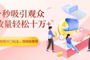 中视频冷门玩法，一秒吸引观众，播放量轻松十万+，保姆级教程【揭秘】-麦资源网