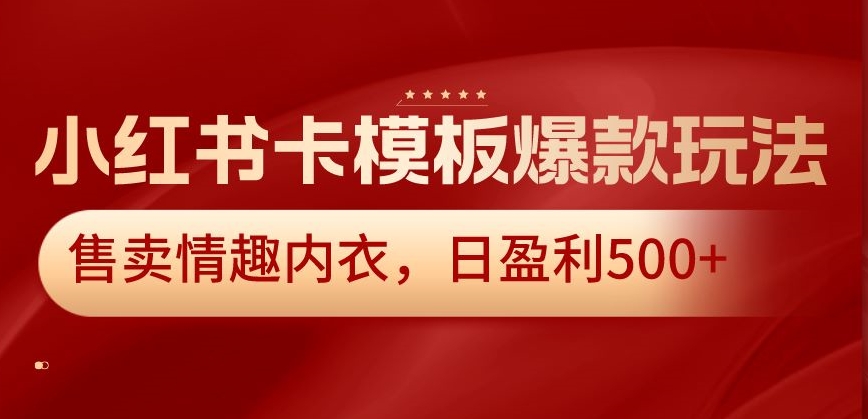 小红书卡模板*玩法，售卖情趣内衣，日盈利500+【揭秘】
