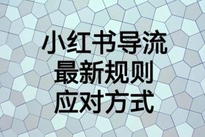 小红书导流最新规则应对方式【揭秘】-麦资源网