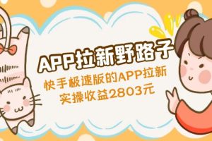 （4946期）APP拉新野路子：快手极速版的APP拉新赚，实操收益2803元-麦资源网