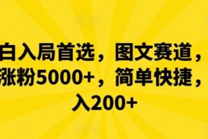 小白入局首选，图文赛道，一周涨粉5000+，简单快捷，日入200+-麦资源网