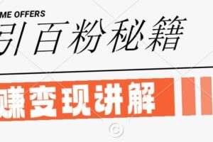 最新闲鱼引流创业粉，日引100+，网创项目虚变现讲解【揭秘】-麦资源网