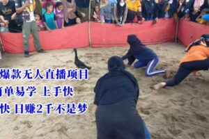 冷门爆款无人直播项目，简单易学上手快，变现快日赚2千不是梦【揭秘】-麦资源网