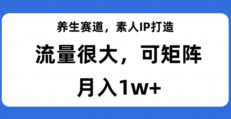 *赛道，素人IP打造，流量很大，可矩阵，月入1w+【揭秘】