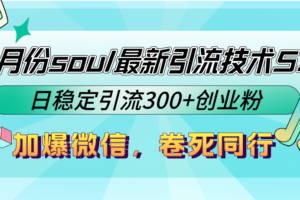 （12772期）9月份soul最新引流技术5.0，日稳定引流300+创业粉，加爆微信，卷死同行-麦资源网