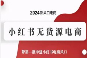 2024新风口电商，小红书无货源电商，带第一批冲进小红书电商风口-麦资源网