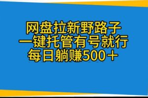 （10468期）网盘拉新野路子，一键托管有号就行，全自动代发视频，每日躺赚500＋-麦资源网